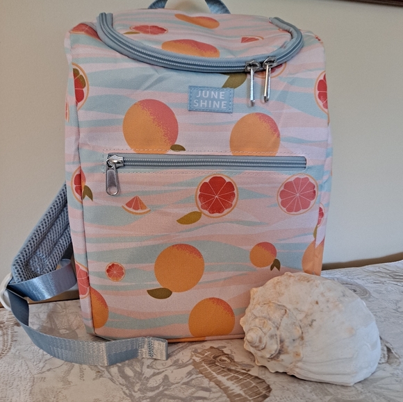 juneshine Bags Juneshine Insulated Cooler Backpack Poshmark